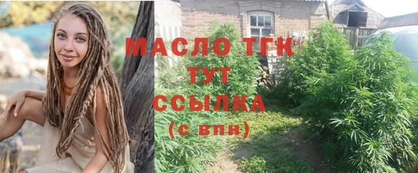 стаф Арсеньев