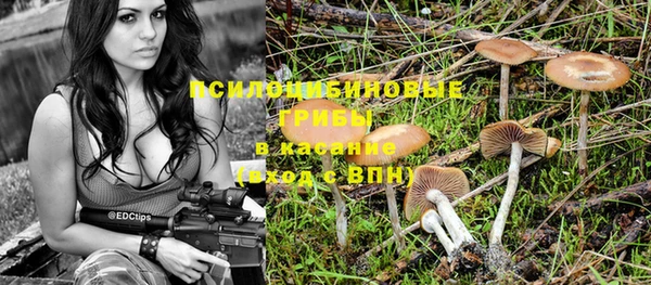 стаф Арсеньев