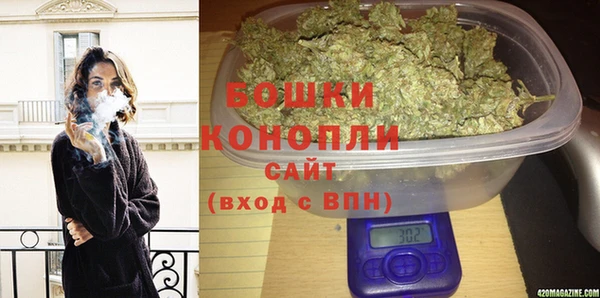 стаф Арсеньев