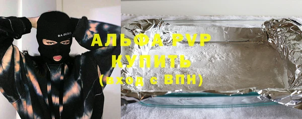 стаф Арсеньев