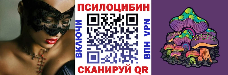 Купить где  Хотьково  Галлюциногенные грибы Psilocybine cubensis 